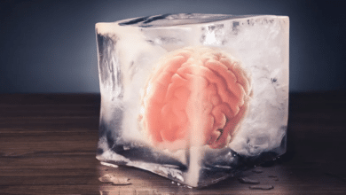 s-a găsit în sfârșit o modalitate de a dezgheța țesutul cerebral uman congelat