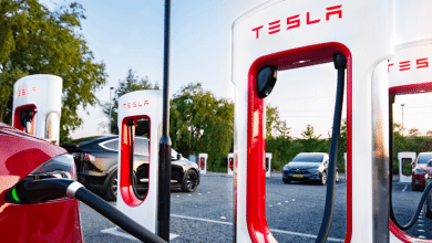 Tesla va folosi date din China pentru a dezvolta sistemul său de conducere autonomă