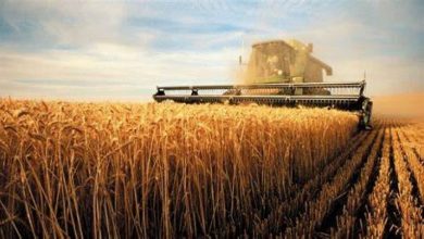 Mega proiectul prin care țara noastră va ajunge să fie un etalon la nivel global