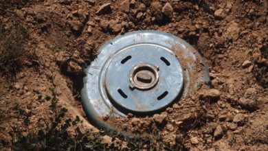 Ucraina va lansa un registru al zonelor afectate de mine