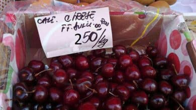 Pe ce dată vor deveni „normale” prețurile la cireșe în România, potrivit experților. Cât mai avem de așteptat, de fapt