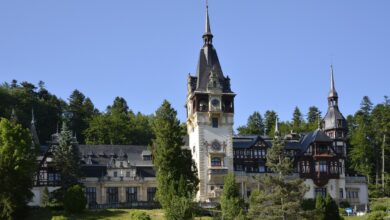 Castelul Peleș, în reparații: Doar un număr limitat de vizitatori pot intra la anumite intervale orare