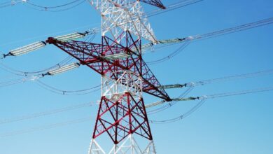 Consiliul de Supraveghere al SAPE a decis revocarea președintelui provizoriu al Directoratului. El ocupa funcția de trei săptămâni