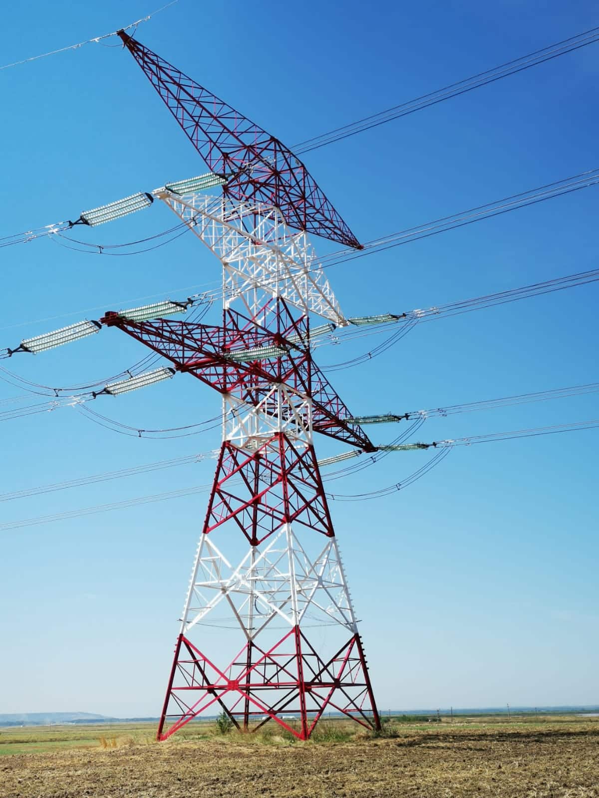 Consiliul de Supraveghere al SAPE a decis revocarea președintelui provizoriu al Directoratului. El ocupa funcția de trei săptămâni